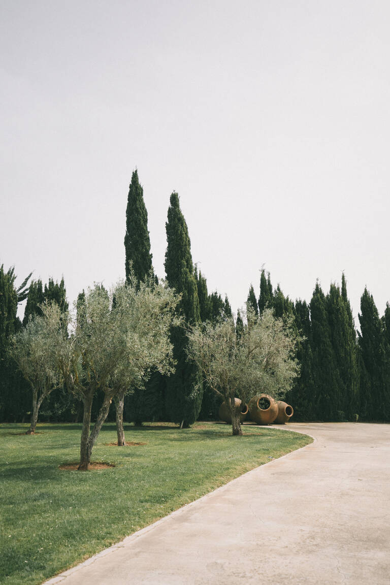 Detailshot von Finca auf Mallorca, schön angelegter Garten